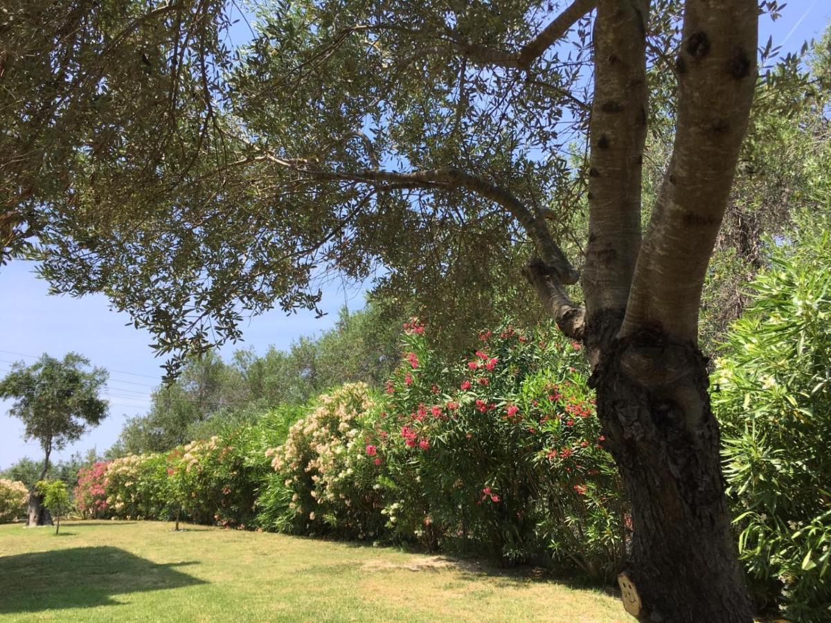 Villa Gecko, Arillas Kavvadades Bagian luar foto