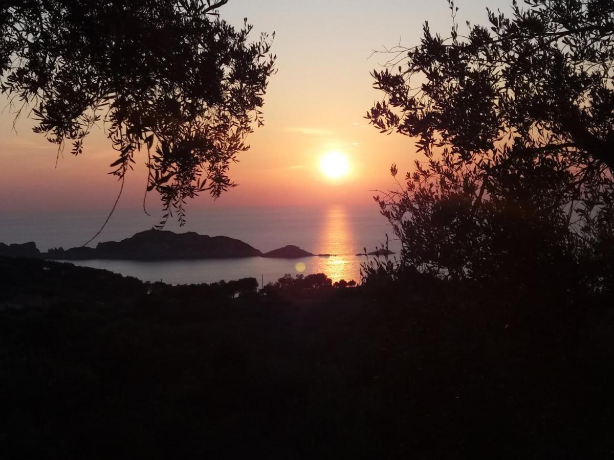 Villa Gecko, Arillas Kavvadades Bagian luar foto