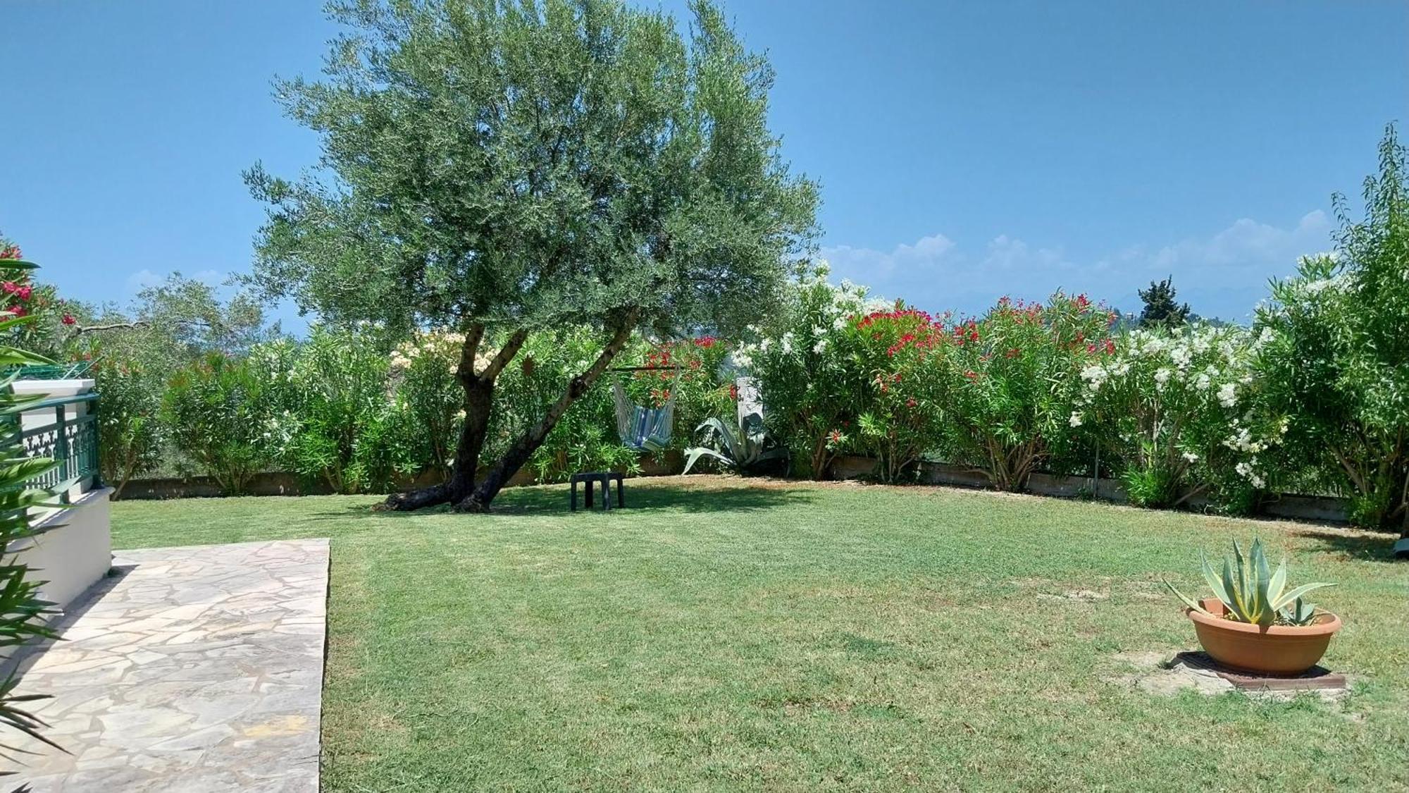 Villa Gecko, Arillas Kavvadades Bagian luar foto