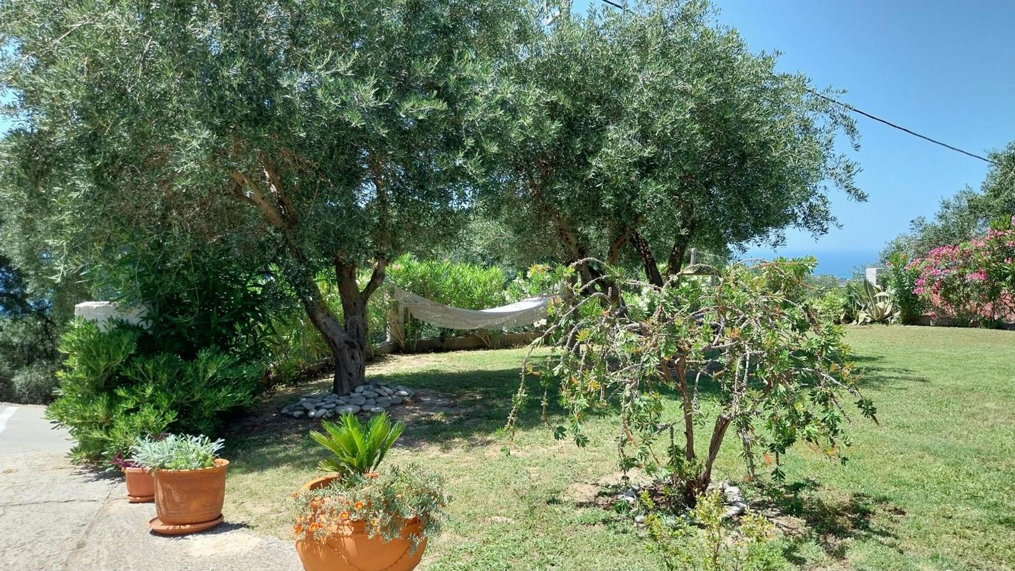 Villa Gecko, Arillas Kavvadades Bagian luar foto